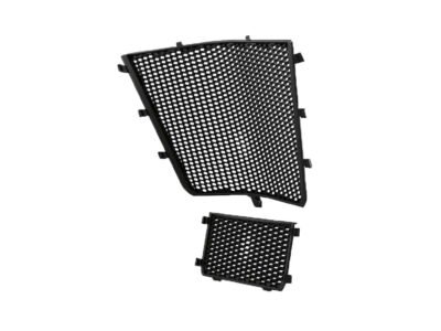 2020+ BMW S1000RR/XR  RADIATOR GUARD