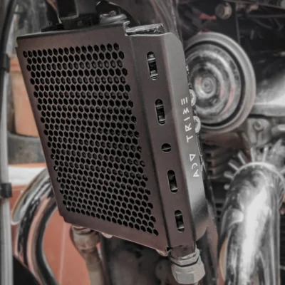 INTERCEPTOR 650/GT650 RADIATOR GUARD